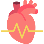 Cardiovascular