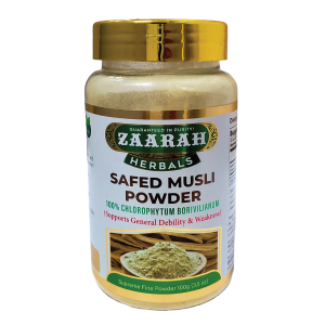 Safed Musli (Chlorophytum borivilianum) - A flowering plant with long, slender white tubers and green leaves, known for its medicinal properties and use in traditional Ayurvedic medicine.